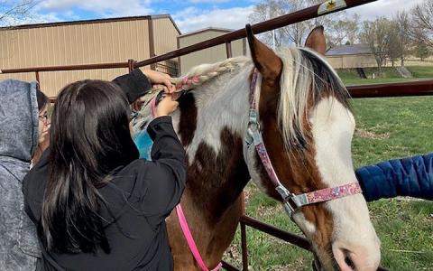 Girls interacting with horse