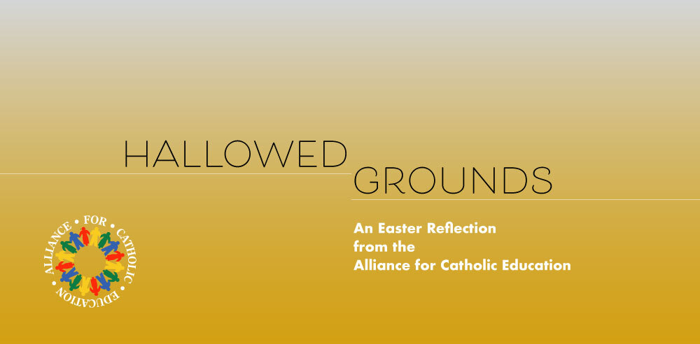 Lent 2023: Easter Reflection graphic