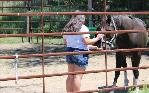St. Joseph's Indian School - Equine Therapy Camp